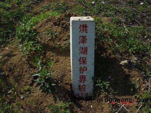 界樁1
