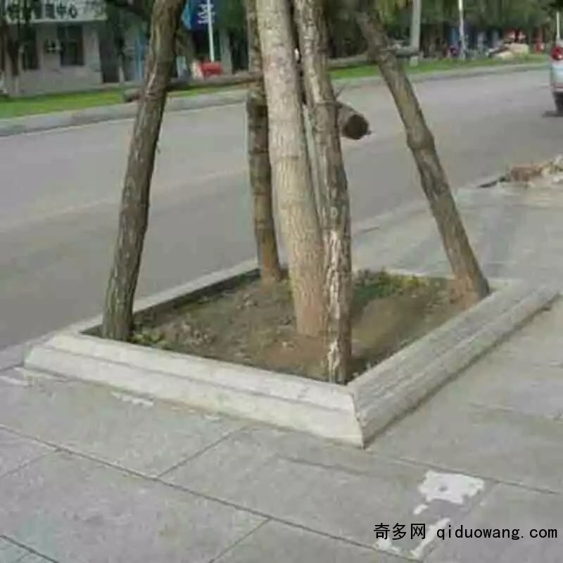 (sh)Ѩʯ3