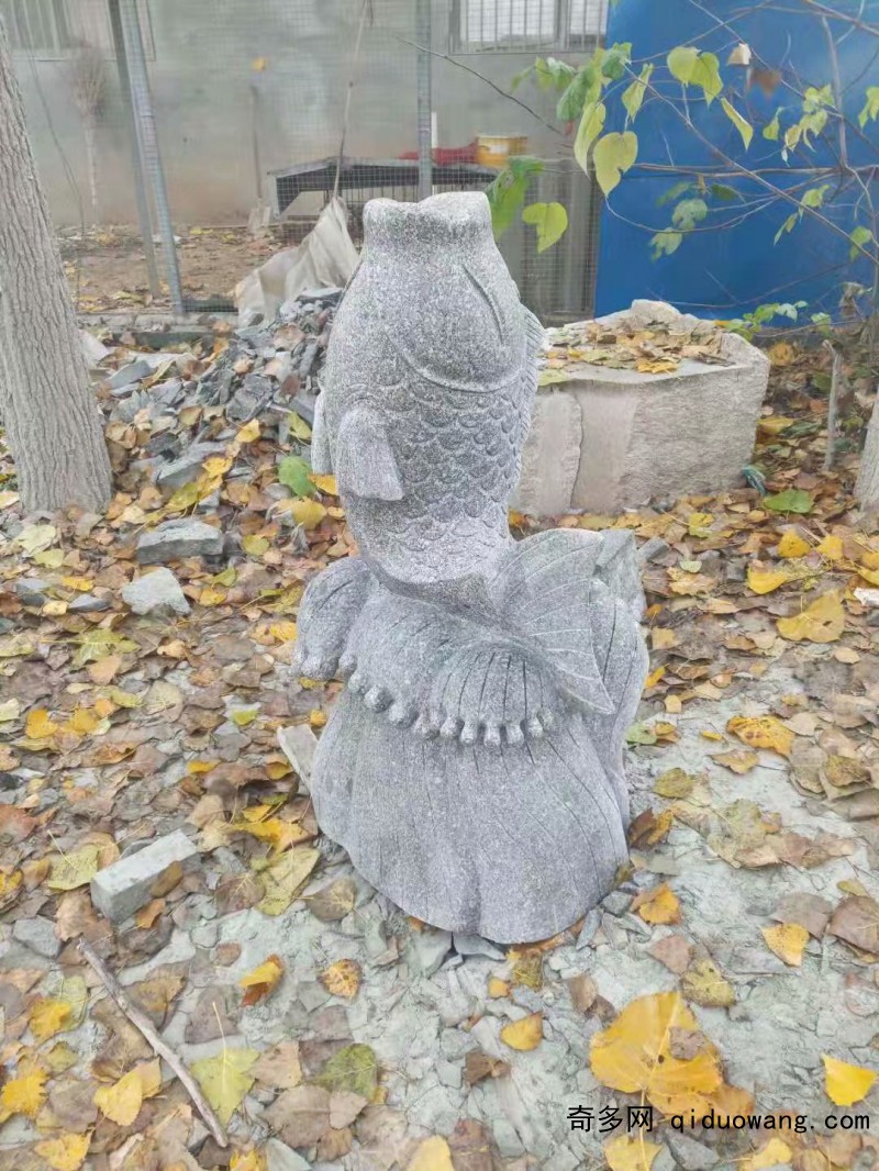 噴水魚