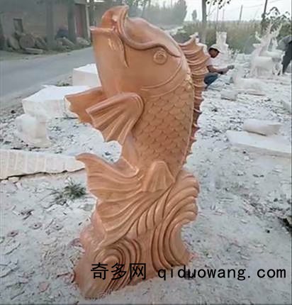 噴水魚3