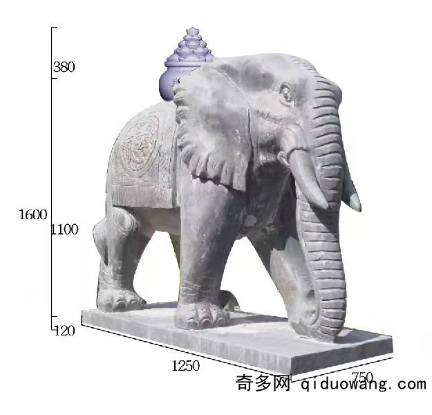 D5