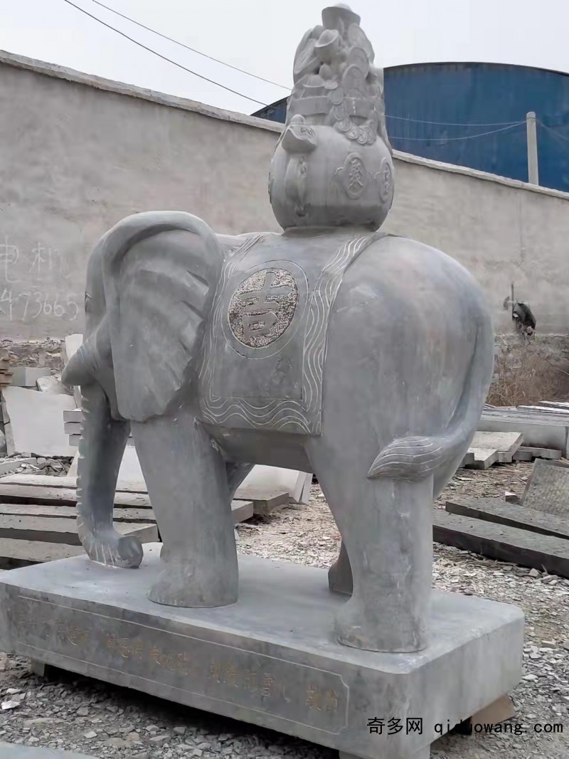 ی6