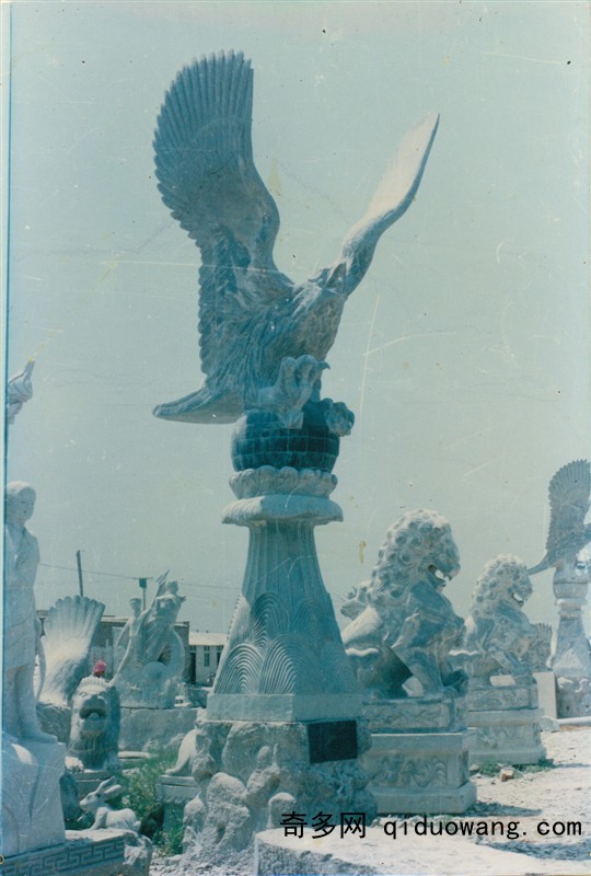 鷹1