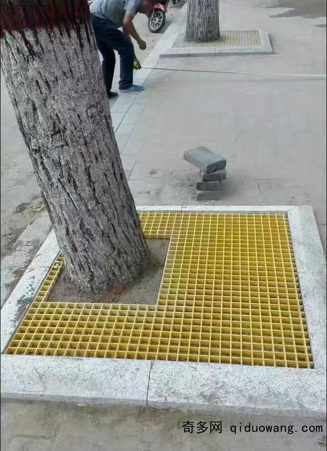 樹穴石8